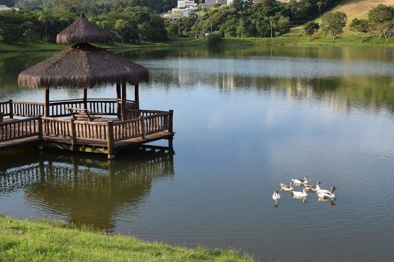 Imagem Lote - Rodovia Romildo Prado