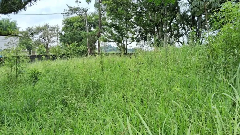 Imagem Terreno à venda, 1100 m² por R$ 170.000,00 - Chácaras Santa Maria - Jacareí/SP
