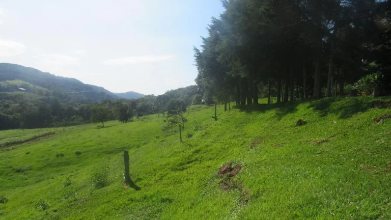 Imagem Área Agrícola para Venda em Concórdia, Interior