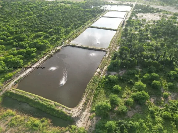 Imagem Fazenda para Venda em Pendências, RN 404 cidade do Rio Grande do Norte.