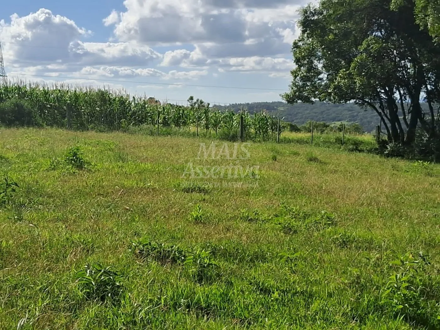 Imagem Área de Terras à venda, localizada em Taquara, ótima para plantação ou criação