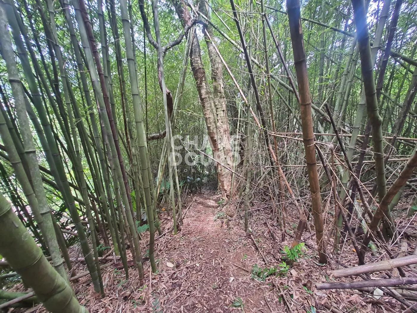 Imagem Terreno de 450m em localização central em bairro residencial