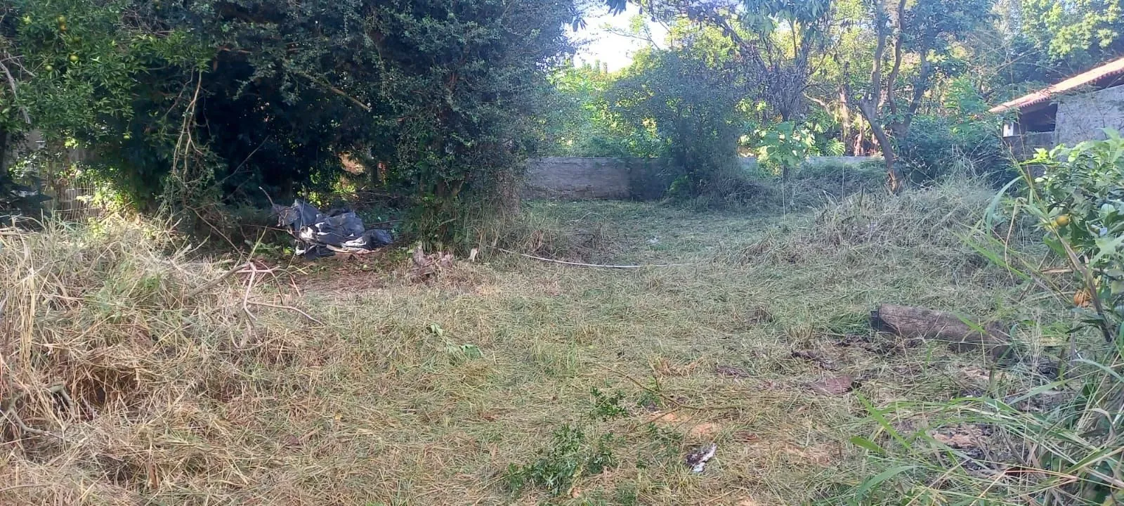Imagem Terreno em Ipanema