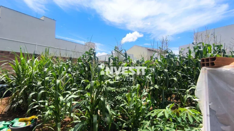Imagem Terreno à venda no Jardim São José - Goiânia/GO