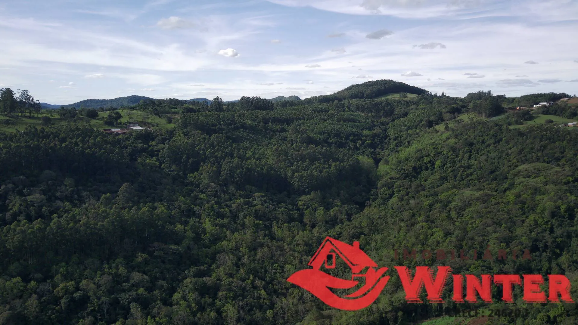 Imagem Área de terras com 7,25 hectares em Morro Grande, Linha Nova.
