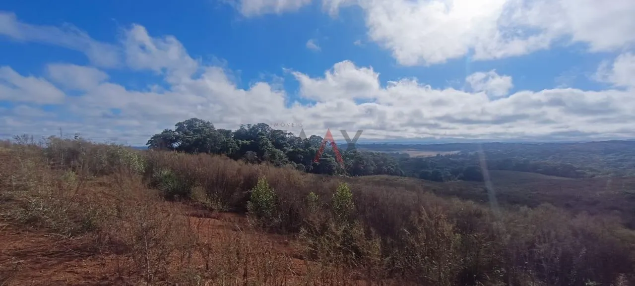 Imagem Chácara 18 alqueires próximo a cidade 6 alqueires para plantil