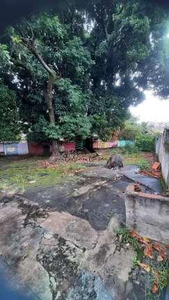 Imagem Lote à Venda no Bairro Glória Belo Horizonte MG