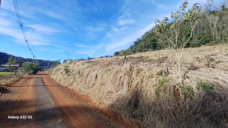Imagem Área Agrícola para Venda em Concórdia, Interior