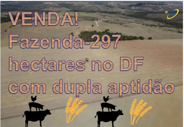 Imagem Fazenda à Venda, 297 HAem Paranoá - Brasília