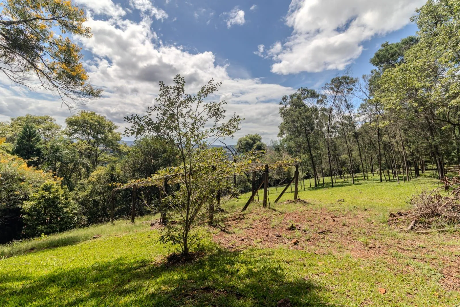 Imagem Sítio 26 hectares com toda infra em Morro Reuter