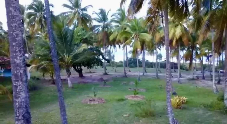 Imagem ÁREA FRENTE MAR - BOMBAÇA