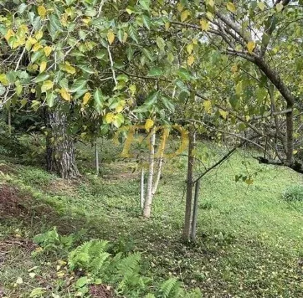 Imagem Casa para Residir ou Lazer (Casa de Campo) em Condomínio de Mairiporã