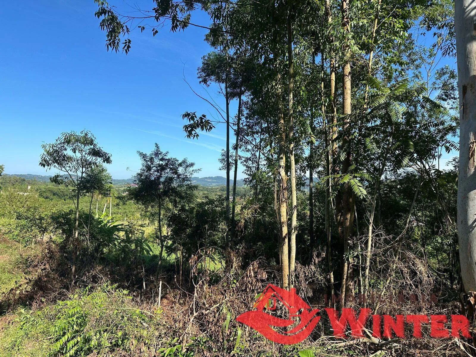 Imagem Area de terras frente para RS 122 em São Vendelino.