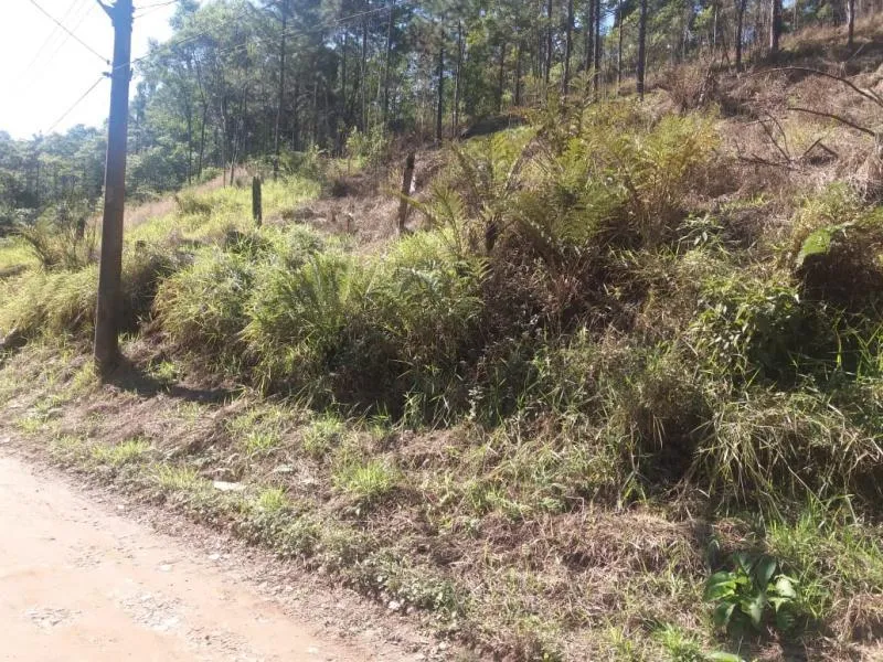 Imagem Área para Venda em Ribeirão Pires, Ouro Fino Paulista