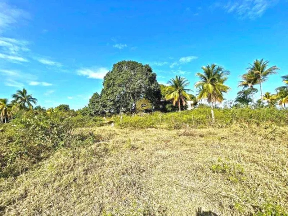 Imagem Área rural com 117.000m² a 10 minutos do centro de Guarapari, pronta para plantio, muita área liv...