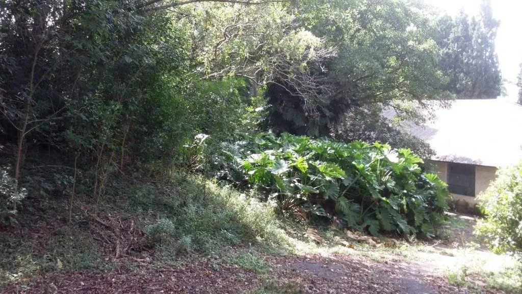 Imagem Area para Venda - 0m², 0 dormitórios, Ponta Grossa