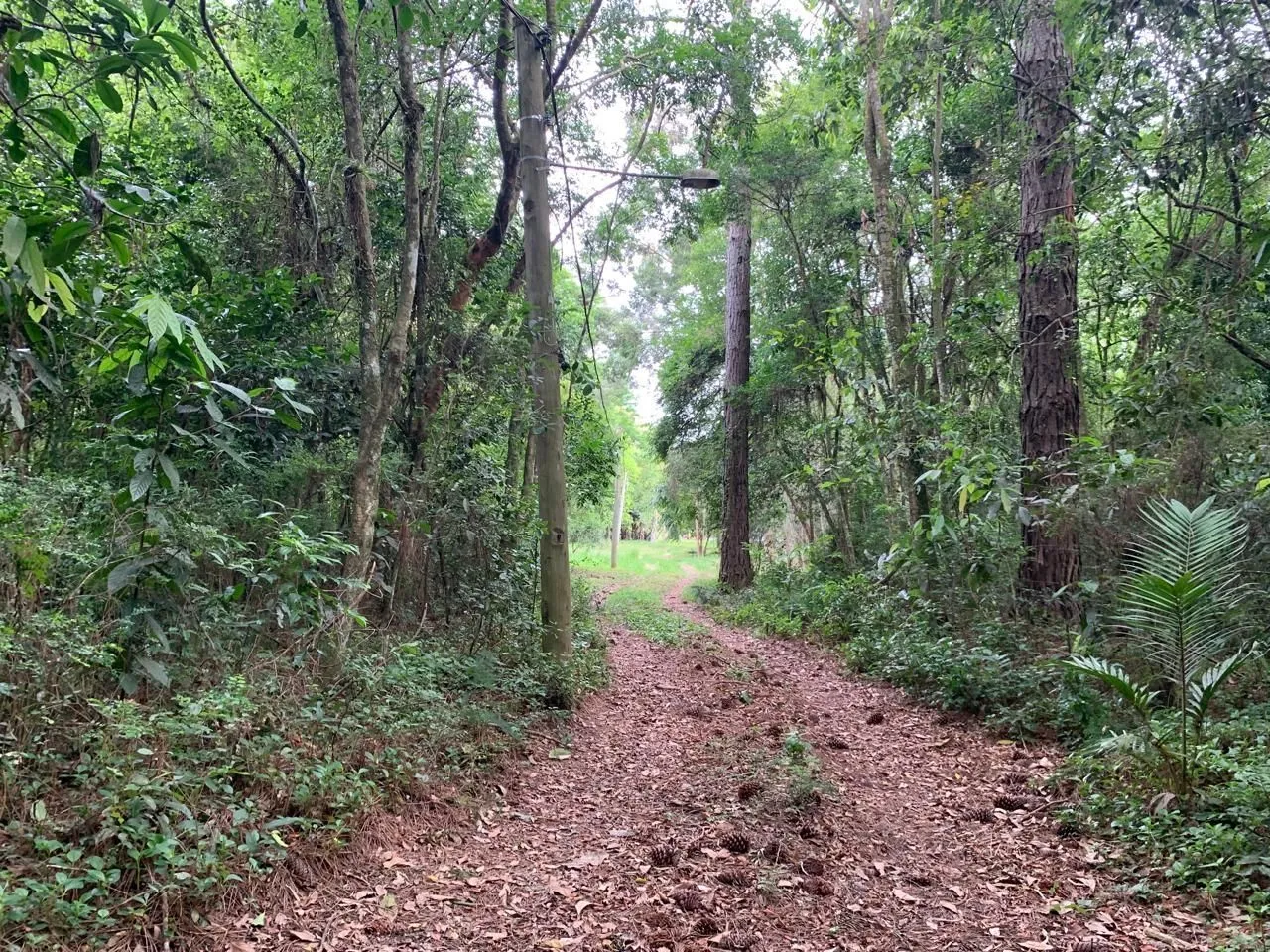 Imagem Lindo Sítio em Águas Claras - Viamão