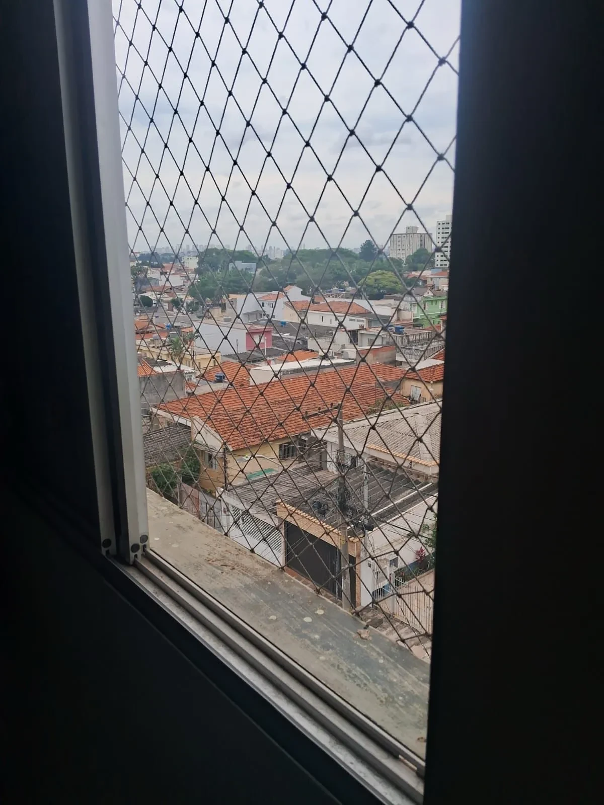 Imagem Apartamento com 3 Quartos à Venda, 65 m² em Paulicéia - São Bernardo do Campo