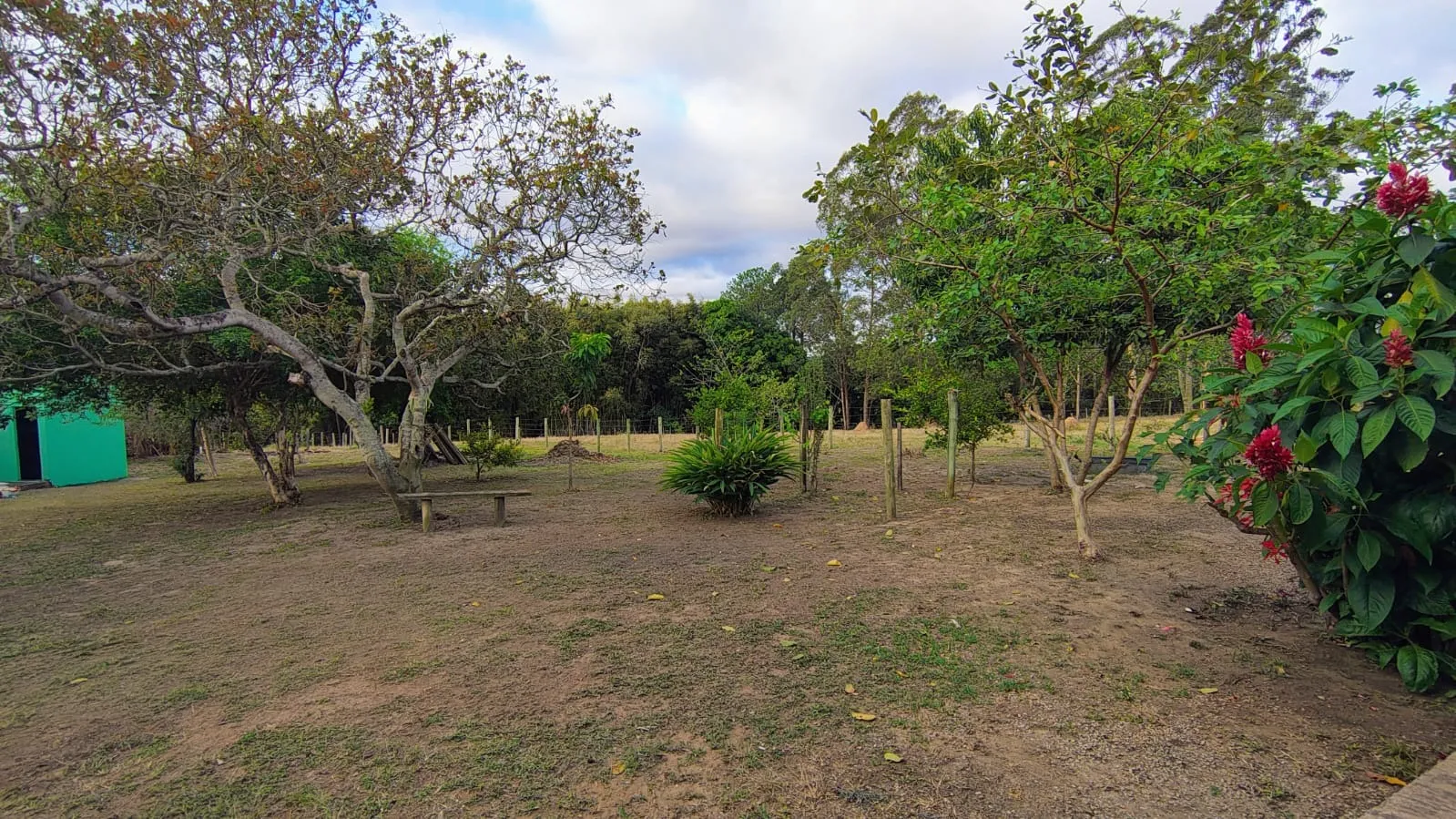 Imagem Chácara com 8925,30m² de Terreno, Casa de 204m², Barracão e Poço Caipira