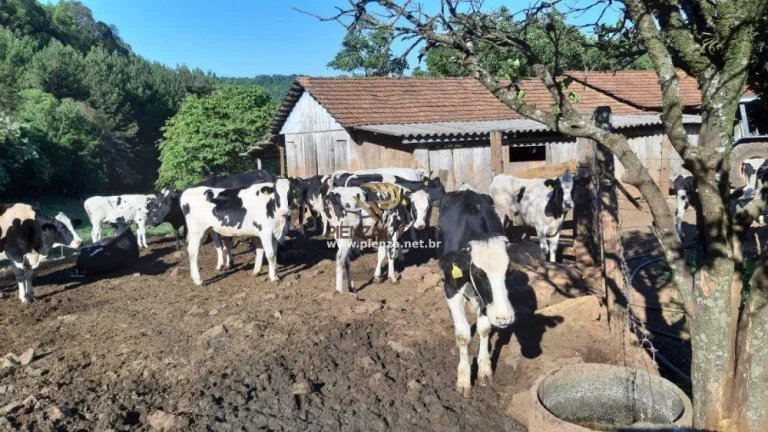 Imagem Granja para Venda em Lindóia do Sul, Interior