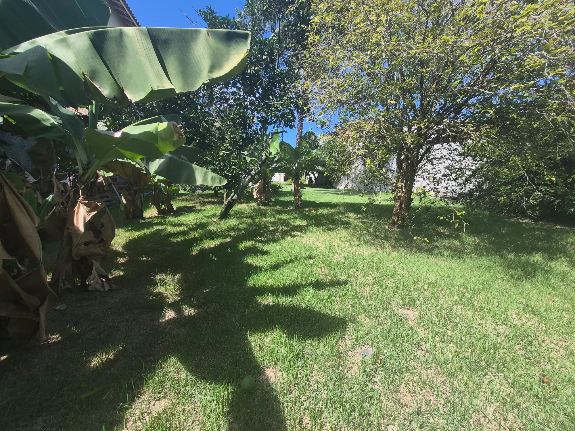 Imagem Terreno à Venda, 360 metros em Piratininga - Niterói