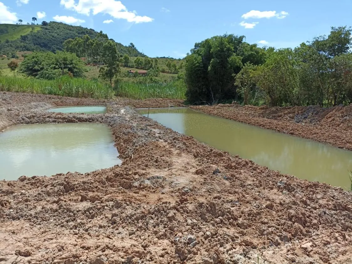 Imagem Vendo Chácara em Crucilândia com 5.000 m² de area
