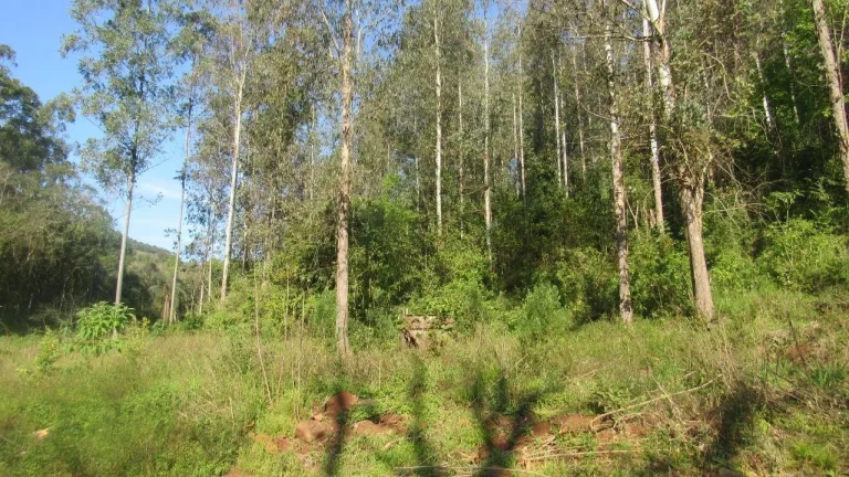 Imagem Terreno para Venda em Arabuta, Interior