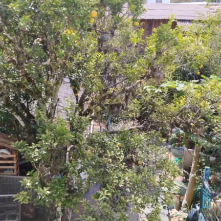 Imagem Terreno com 04 casas no bairro Boa Vista em Curitiba PR