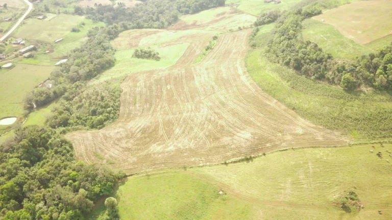 Imagem Área Agrícola para Venda em Concórdia, Rural