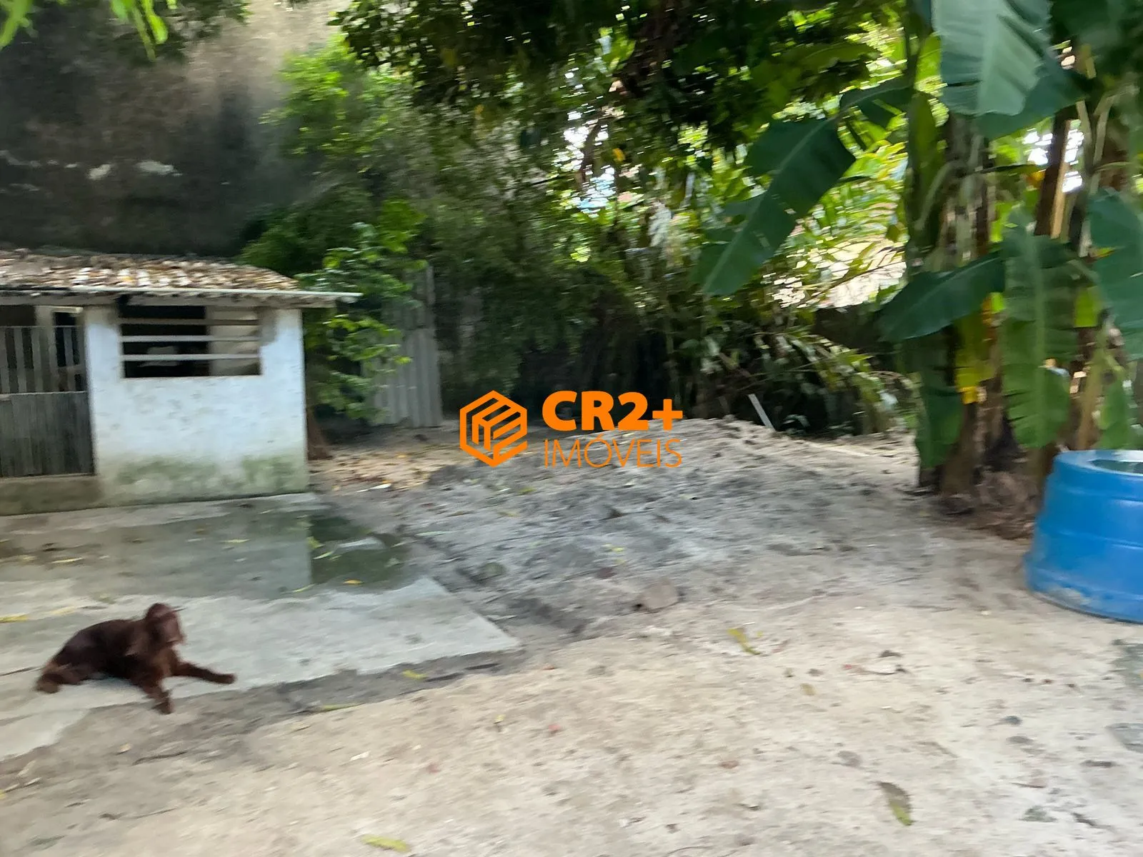 Imagem Vendo terreno próximo ao parque Santana- 420m²