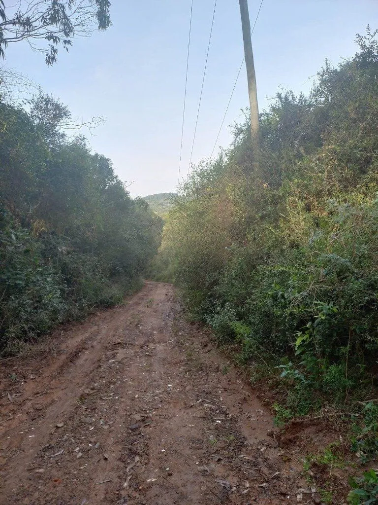 Imagem Terreno no bairro Aberta dos Morros em Porto Alegre