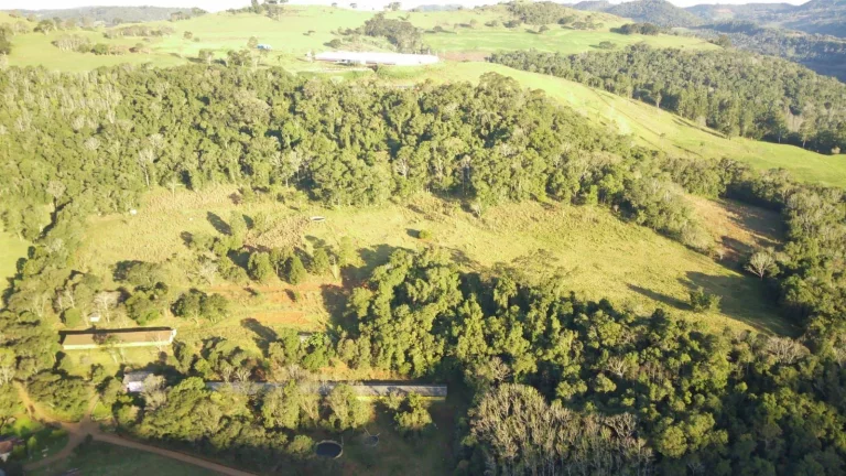 Imagem Área Agrícola para Venda em Ipumirim, Centro