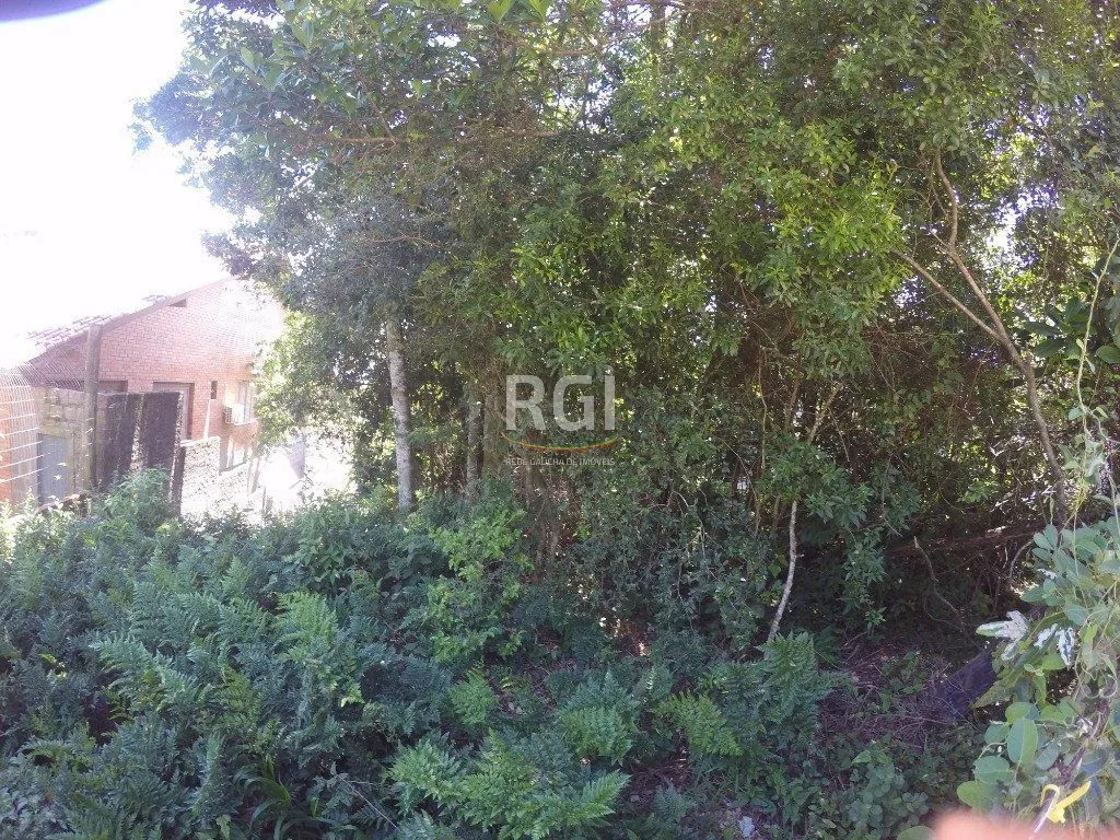 Imagem Terreno para Venda - 524.4m², 0 dormitórios, Teresópolis
