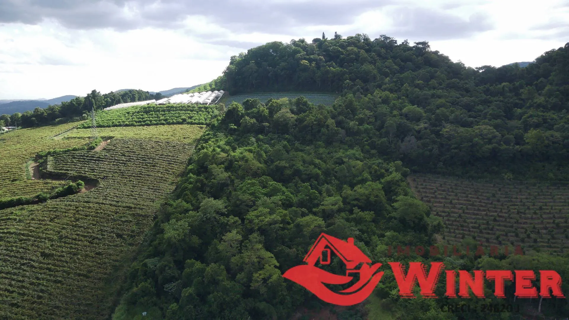 Imagem Área de terras com 16.871m2 no Picão - Feliz