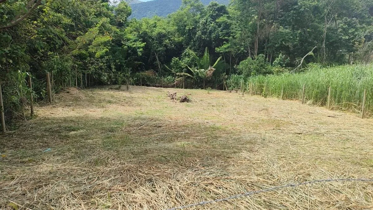 Imagem Terreno Terreno Urbano Maricá - RJ - Pindobal (Ponta Negra)