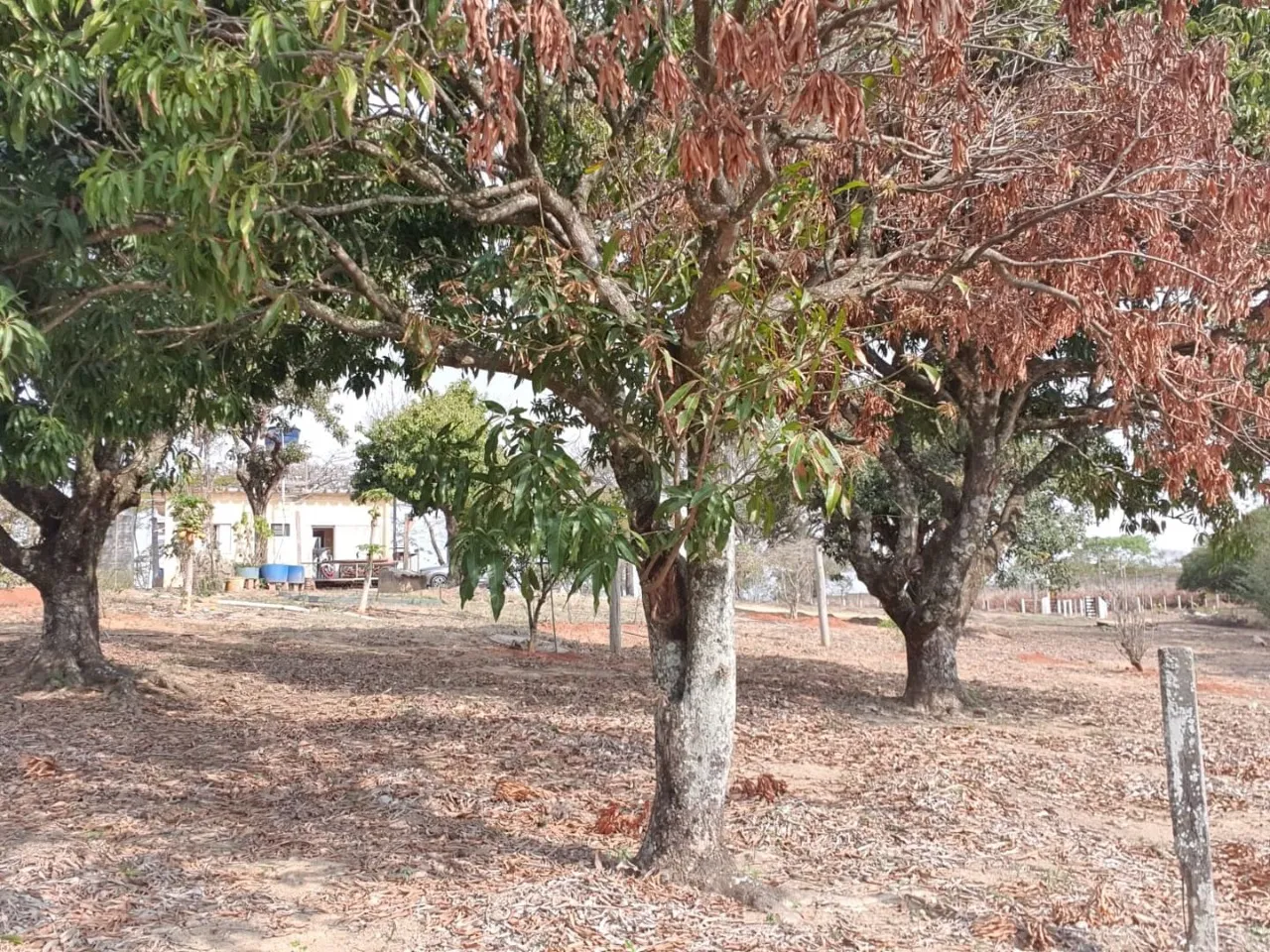 Imagem AREA RESIDENCIAL em ARAÇOIABA DA SERRA - SP, Centro