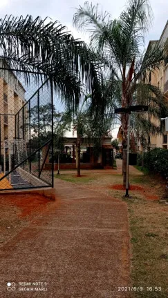 Imagem Apartamento com 2 Quartos à Venda, 51 m² em Jardim Nunes - São José do Rio Preto