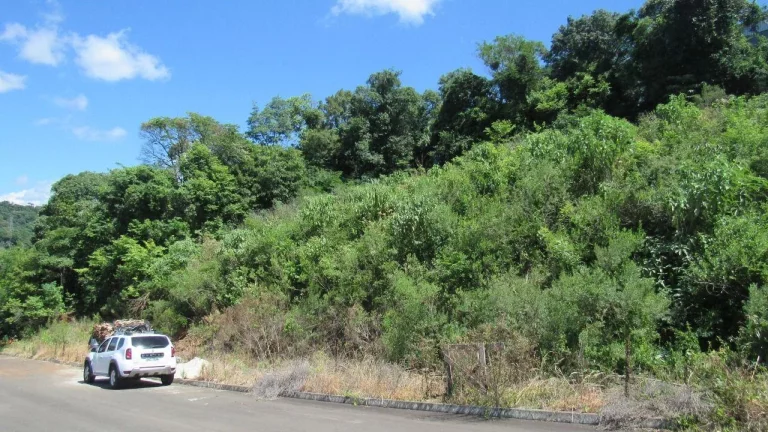Imagem Terreno para Venda em Concórdia, Primavera