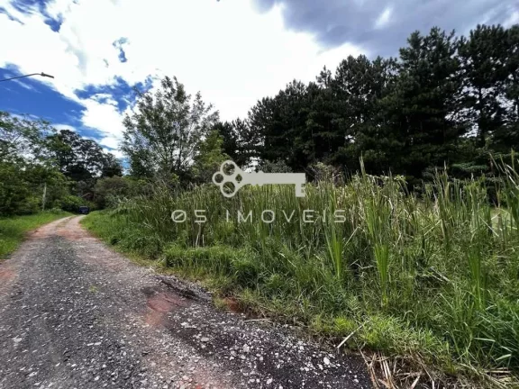 Imagem Terreno na Fazendinha - LOTE 1.420,00 m². Plano e sem árvores grande porte!
