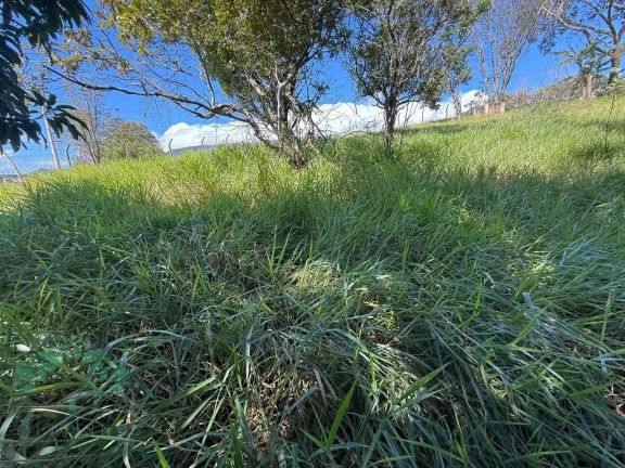Imagem TERRENO INDUSTRIAL em Extrema - MG, Pires