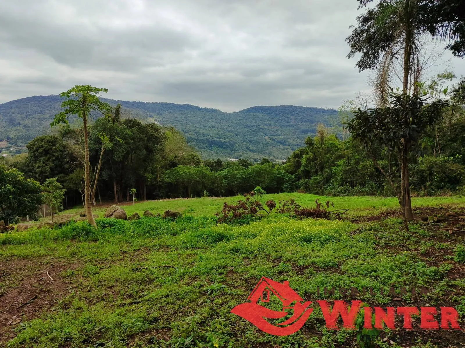 Imagem Amplo terreno de 3.640,32m² com linda vista próximo ao Welt Platz.