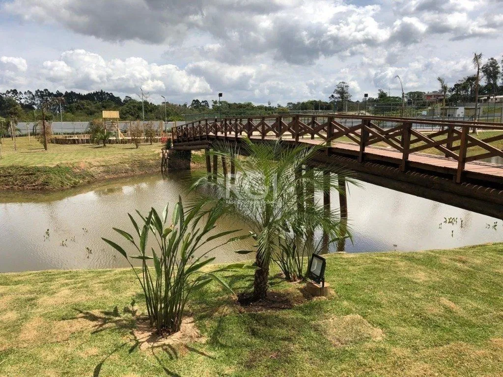 Imagem Terreno em Floresta