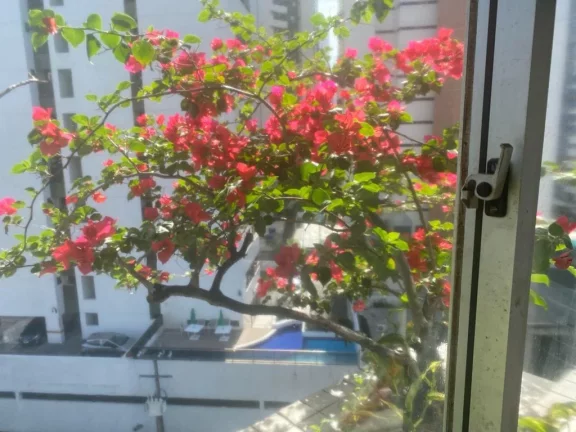 Imagem Apartamento para Venda em Recife, Boa Viagem, 3 dormitórios, 1 suíte, 3 banheiros, 1 vaga