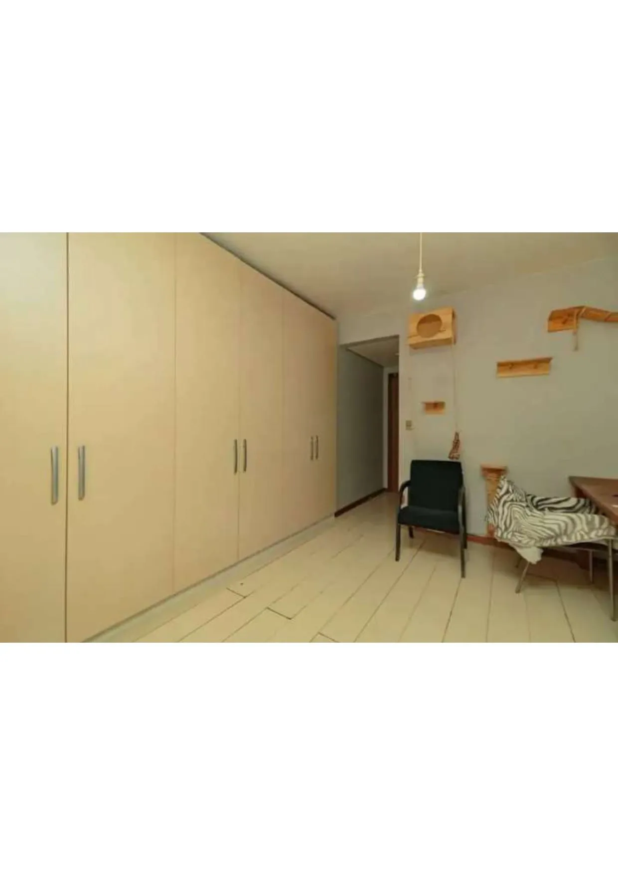 Imagem Apartamento a venda no bairro Rio Branco.
