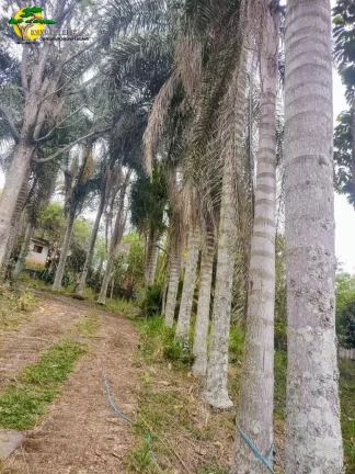 Imagem CHACARA EM IBIÚNA A VENDA