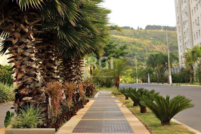 Imagem Apartamento em Morro Santana
