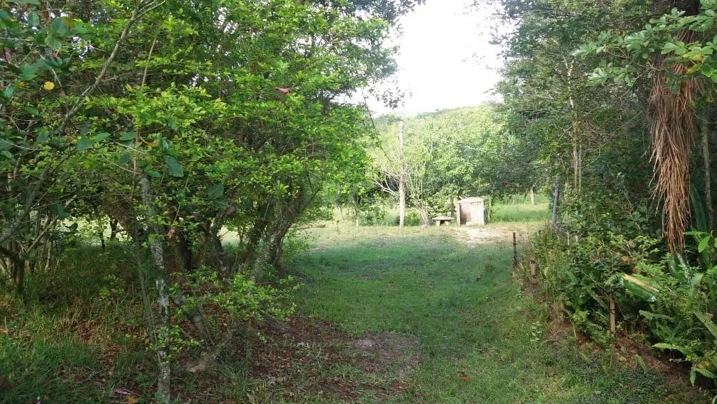 Imagem Terreno para Venda - 0m², 0 dormitórios, Boa Vista do Sul