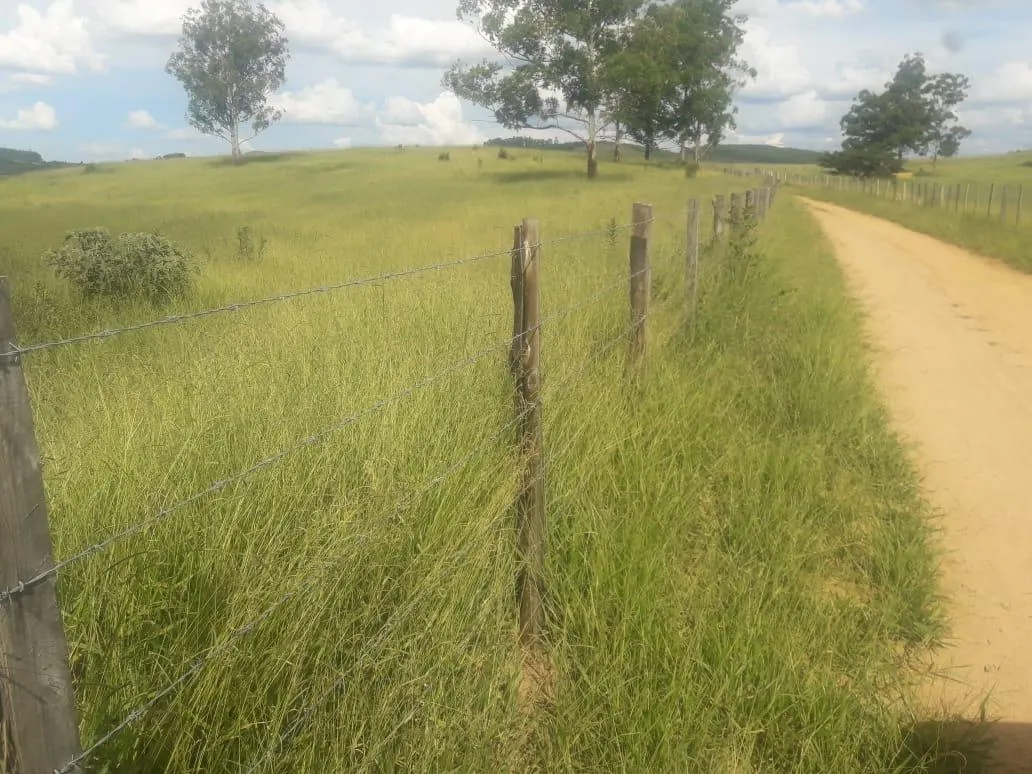 Imagem Vendo uma ótima fazenda em Passatempo 315 hectares