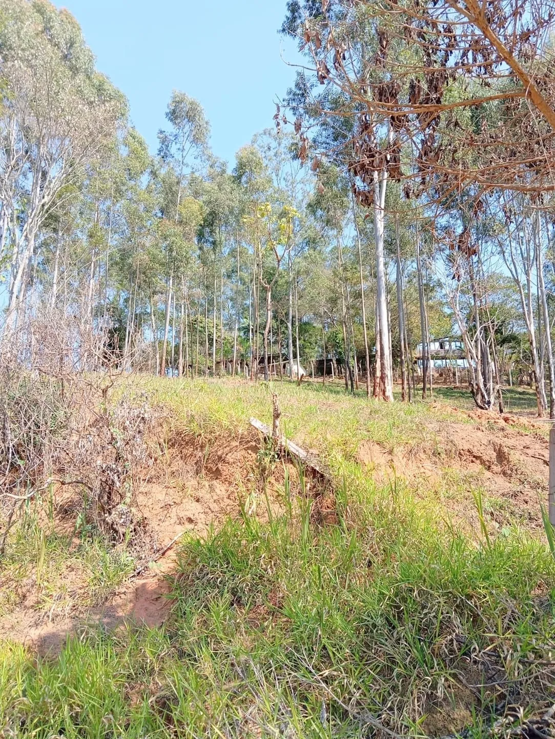 Foto do imóvel Terreno com 1.632,00 M2 à venda, Pedreira, Guaratinguetá, SP