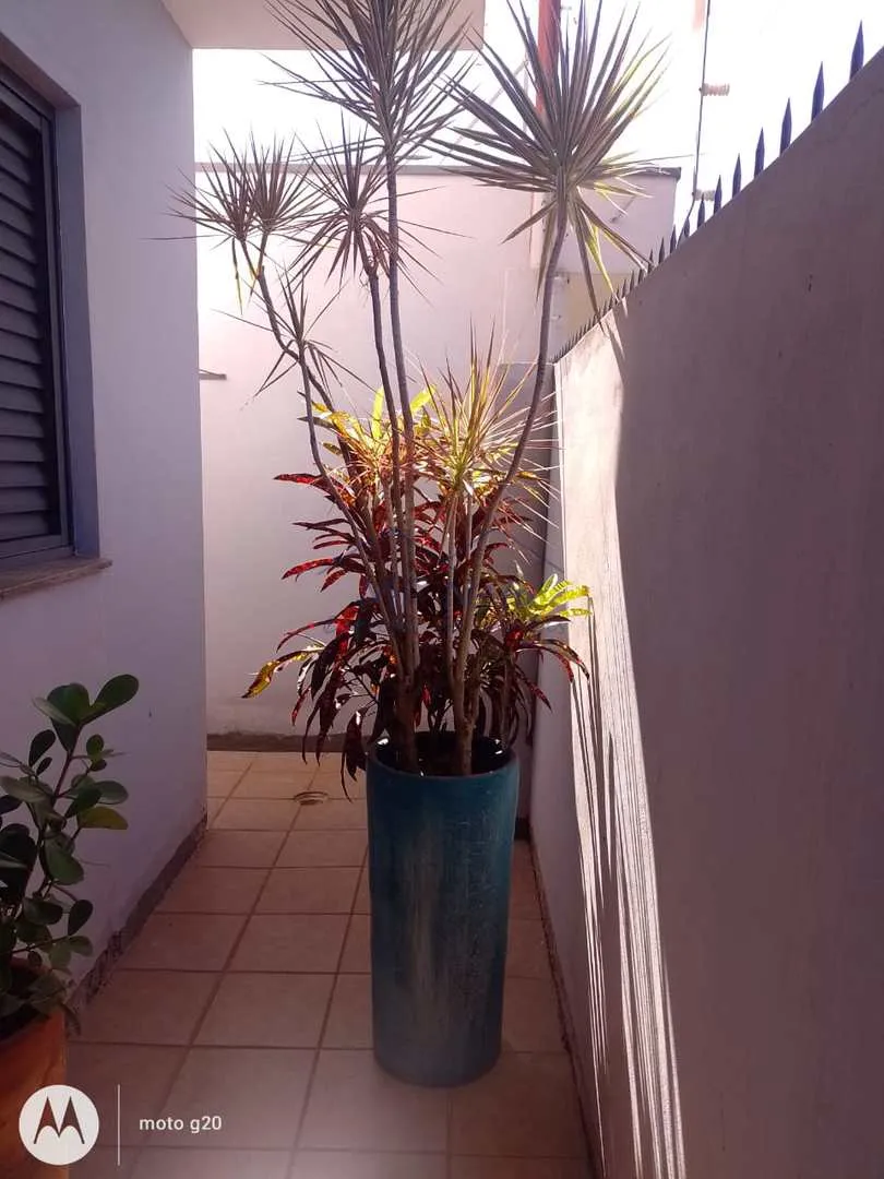 Foto do imóvel Casa Padrão
